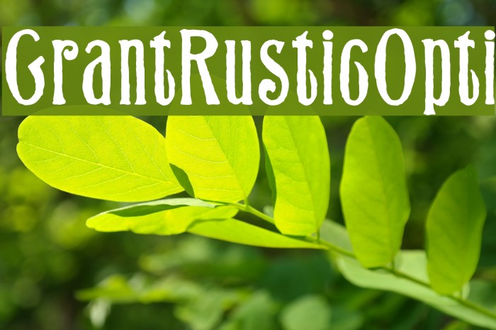 GrantRusticOpti Font examples