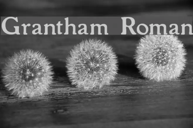 Grantham Roman Font examples