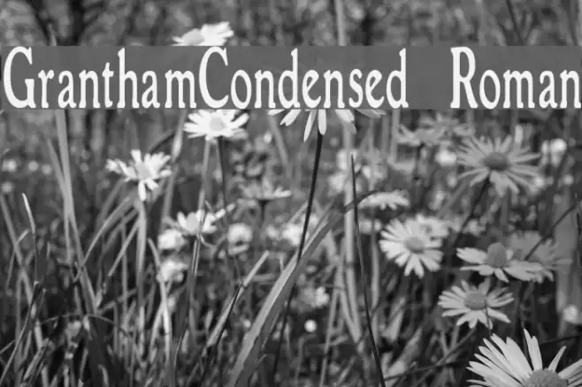 GranthamCondensed Roman フォント examples