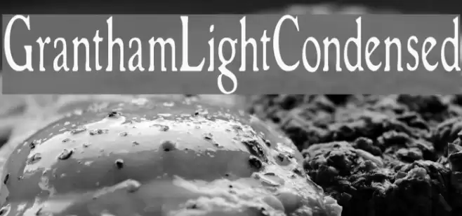 GranthamLightCondensed Font examples