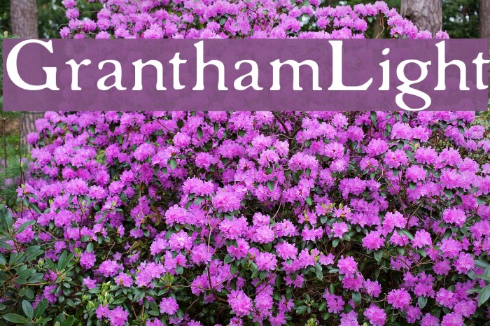 GranthamLight Font examples