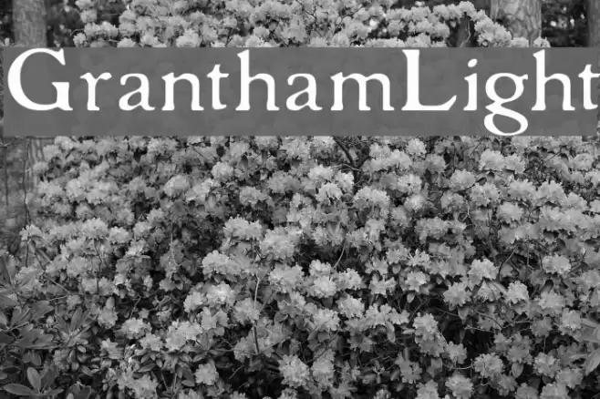 GranthamLight Шрифта examples