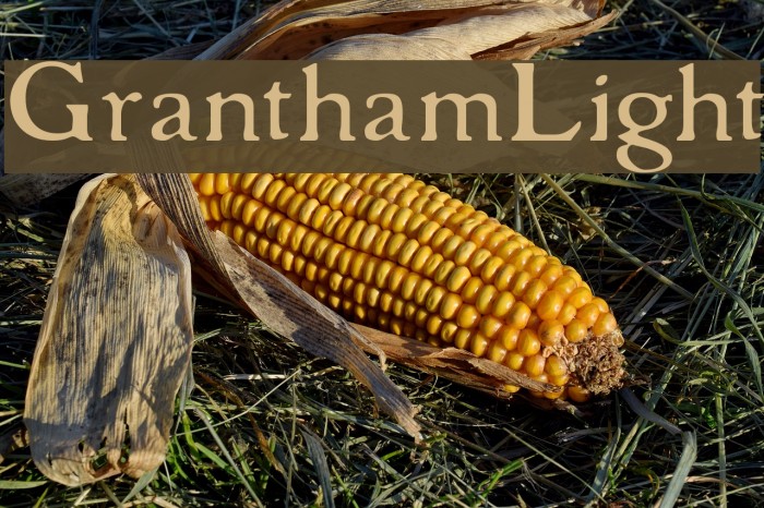 GranthamLight Font examples