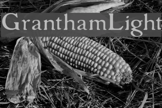 GranthamLight Шрифта examples