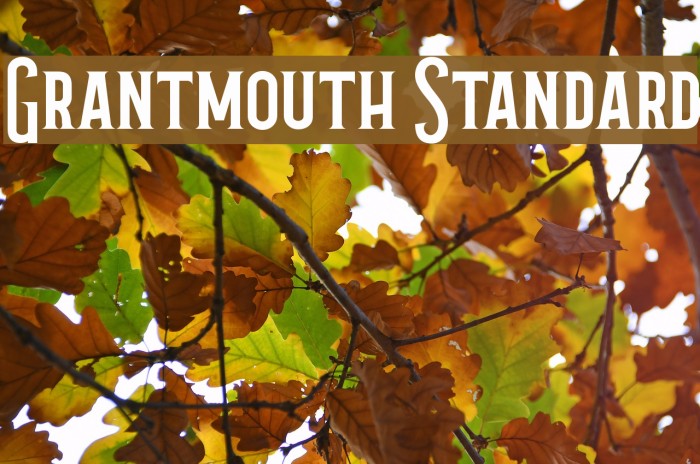 Grantmouth Standard Font examples