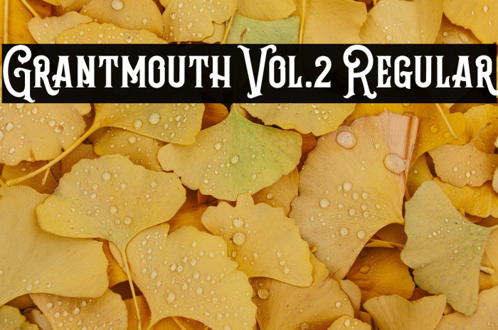 Grantmouth Vol.2 Regular Example 3