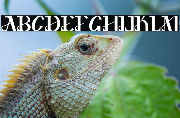 Granty Regular Example 3