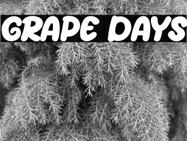 Grape Days Font examples