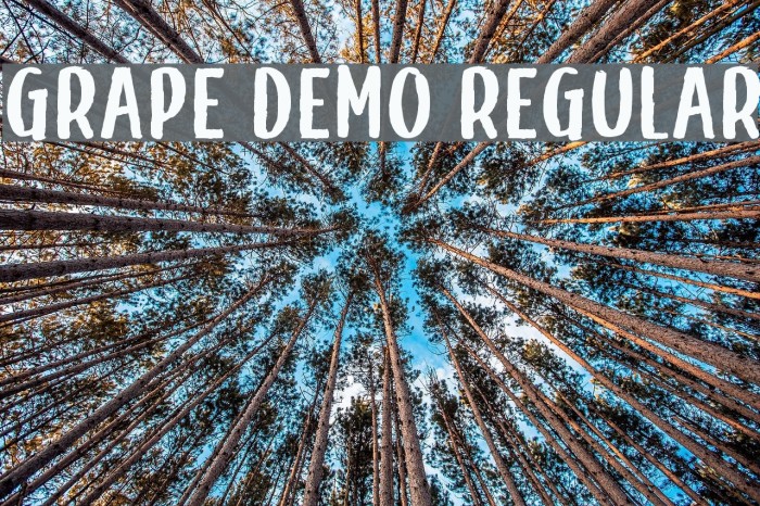 Grape Demo Regular Font examples