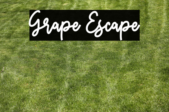 Grape Escape Example 1