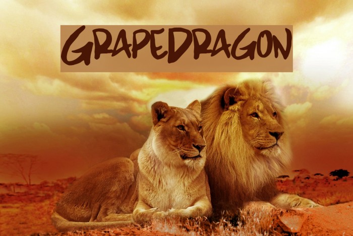 GrapeDragon Font examples