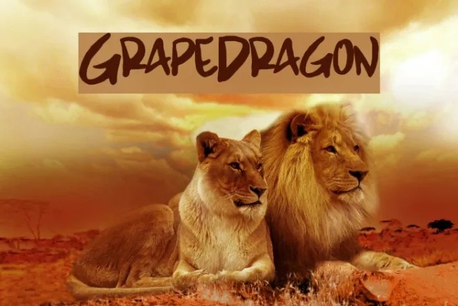 GrapeDragon Example 2