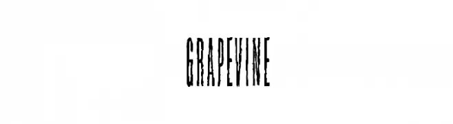 Grapevine  フリーフォントのダウンロード