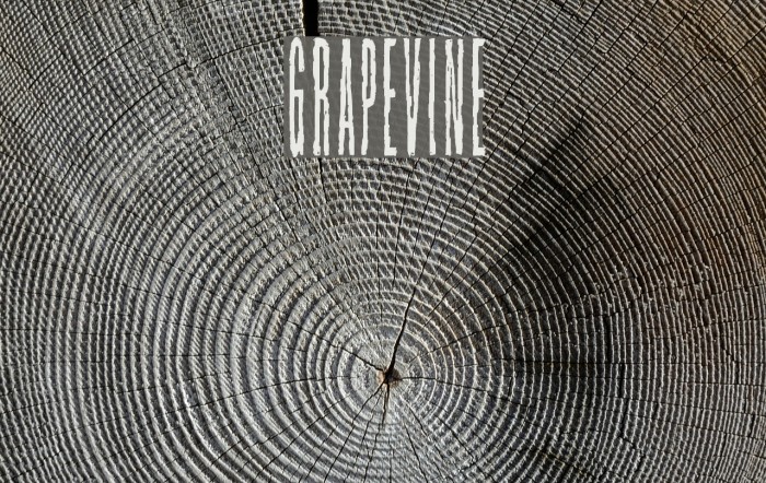 Grapevine Font examples