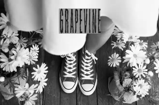 Grapevine Font examples
