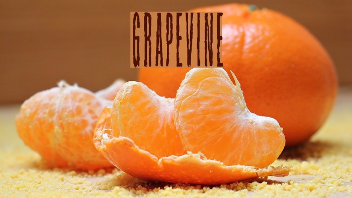 Grapevine Font examples