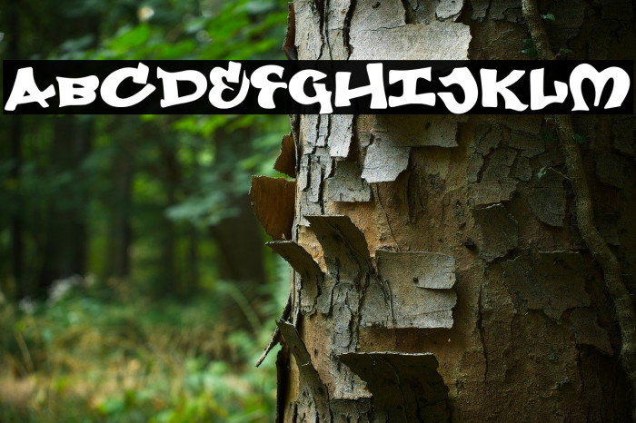 Graphic Adventure 字体 examples