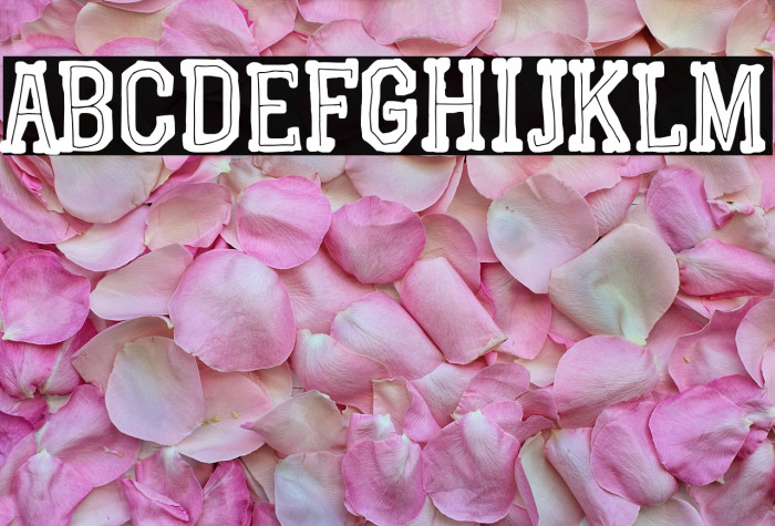 Graphic Dictatorship Example 1