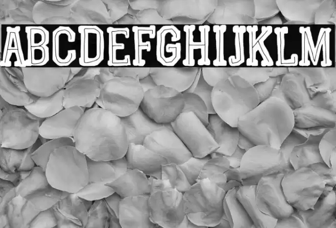 Graphic Dictatorship Font examples