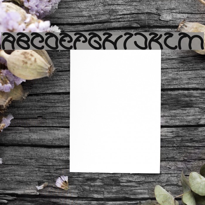 Graphic Dream Bold Example 2