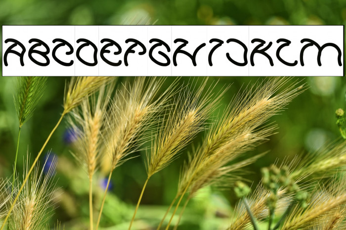 Graphic Dream Example 2