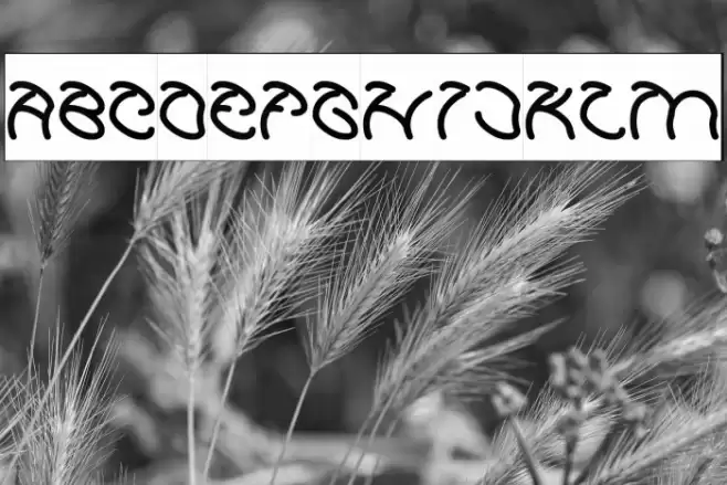 Graphic Dream Font examples