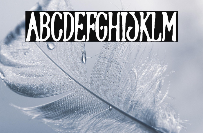 Graphic Lady Example 2