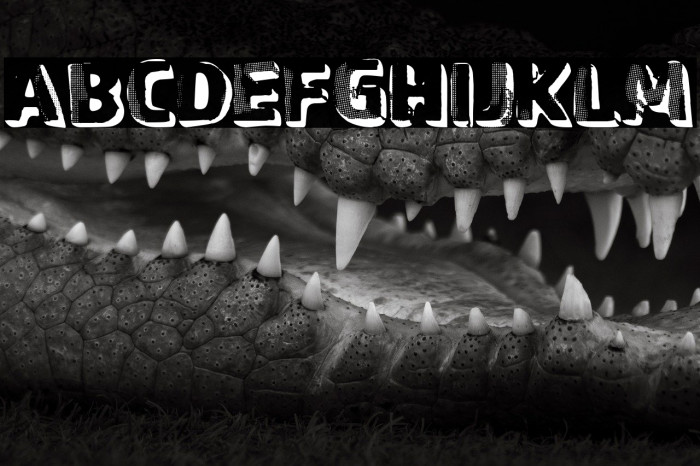 Graphic Stepfather Example 2