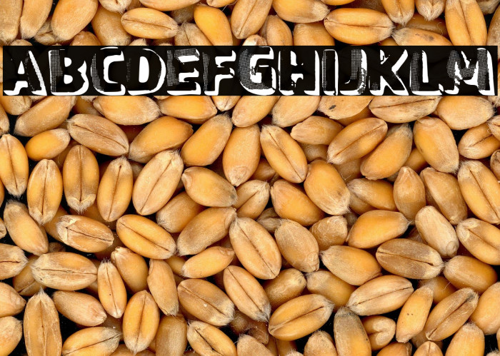 Graphic Stepfather Example 3