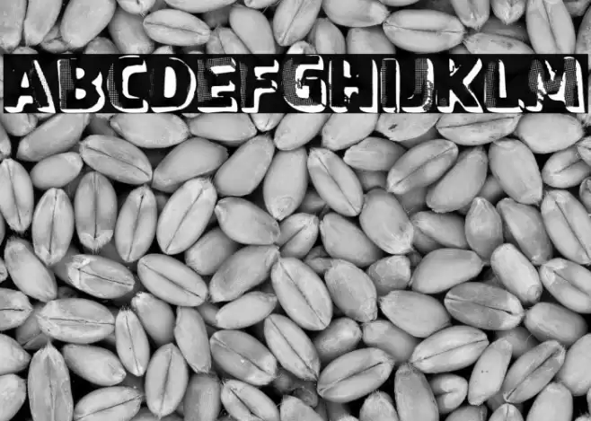 Graphic Stepfather Font examples