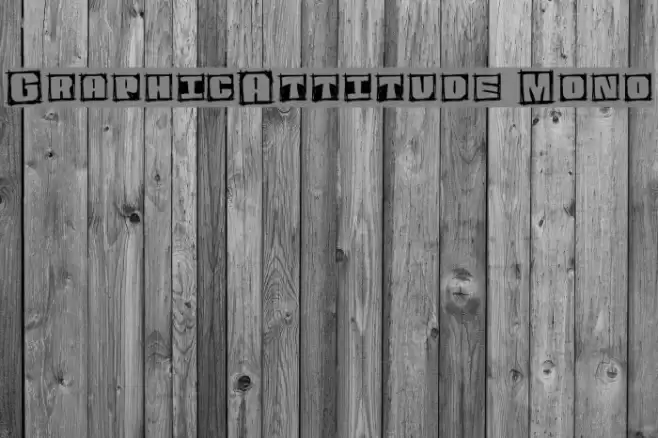 GraphicAttitude Mono フォント examples