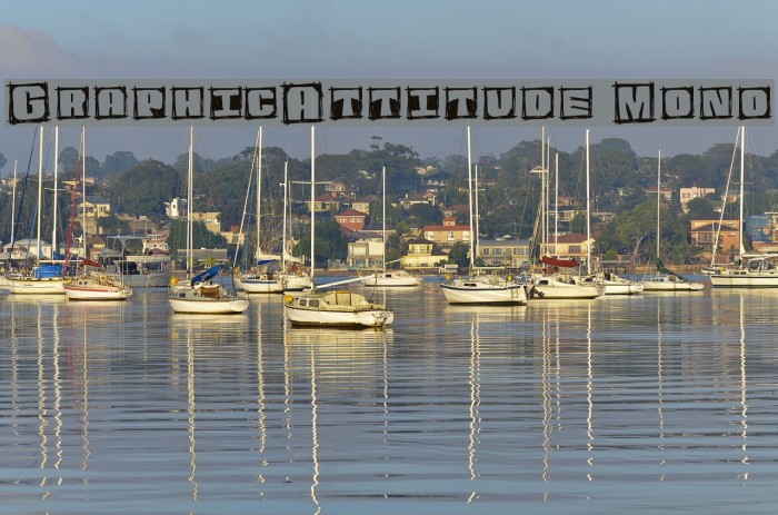 GraphicAttitude Mono Font examples