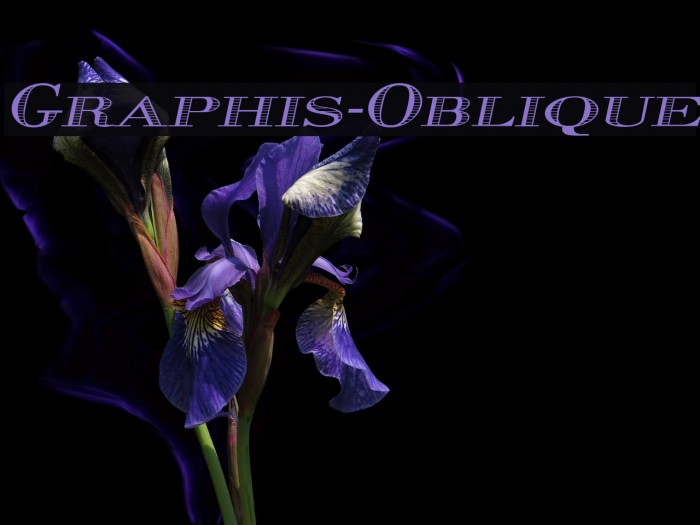 Graphis-Oblique Example 1