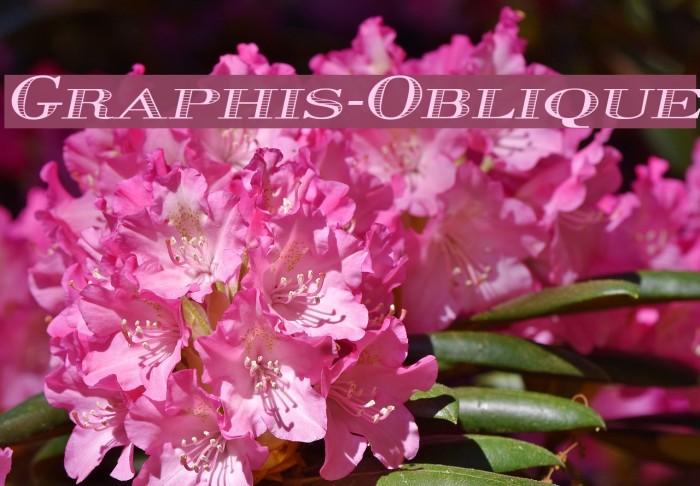 Graphis-Oblique Example 2