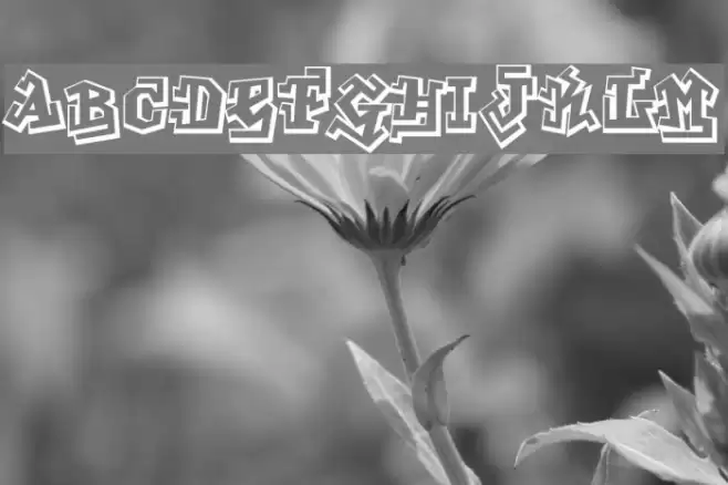 Graphitti Font examples