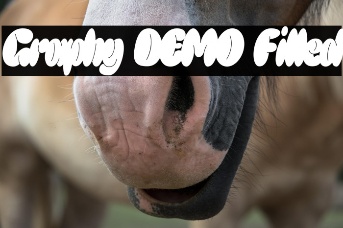 Graphy DEMO Filled Example 2