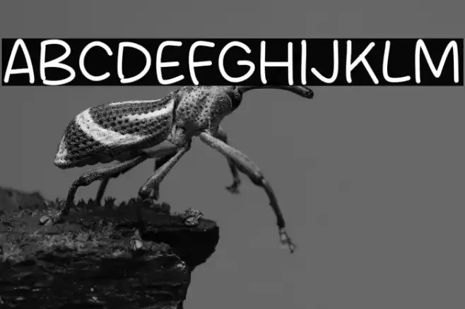 Graphy Note Font examples