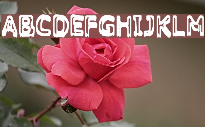 Grasping Font examples