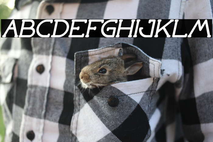 Grass Hopper Bold Italic Example 1