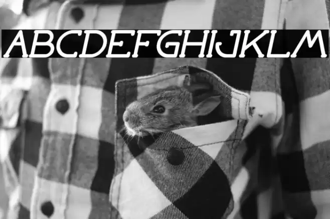 Grass Hopper Bold Italic Font examples