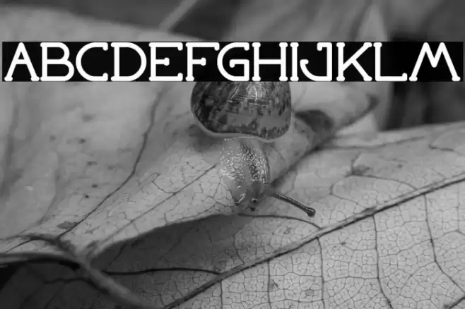 Grass Hopper Bold Font examples