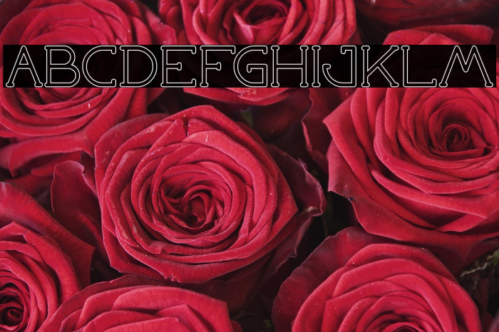 Grass Hopper-Hollow Example 2