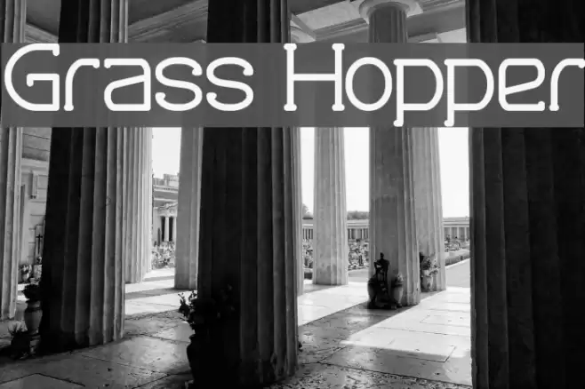 Grass Hopper Font examples