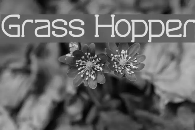 Grass Hopper Font examples