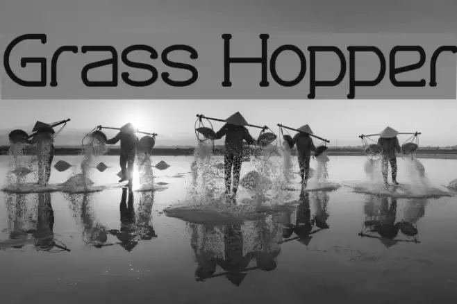 Grass Hopper Font examples