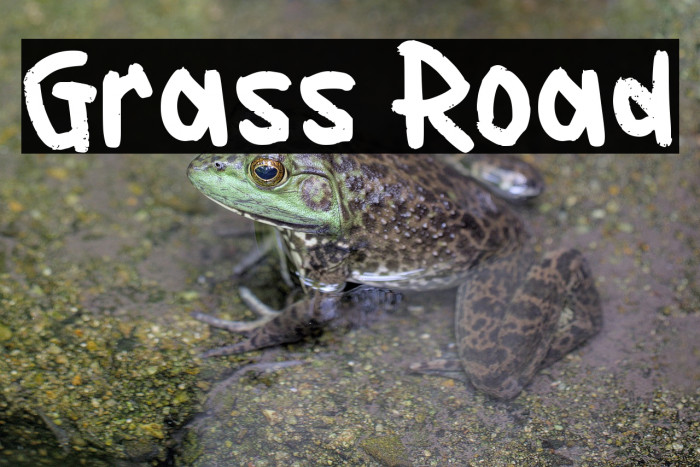 Grass Road Example 2