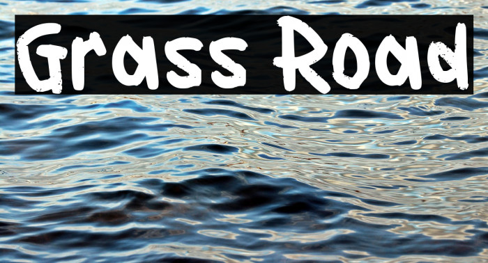 Grass Road Example 3