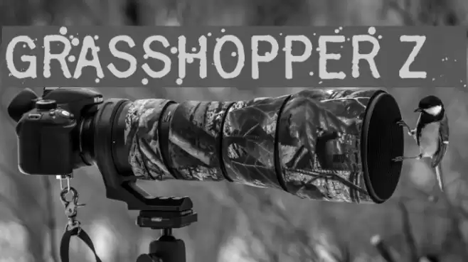 Grasshopper Z Font examples