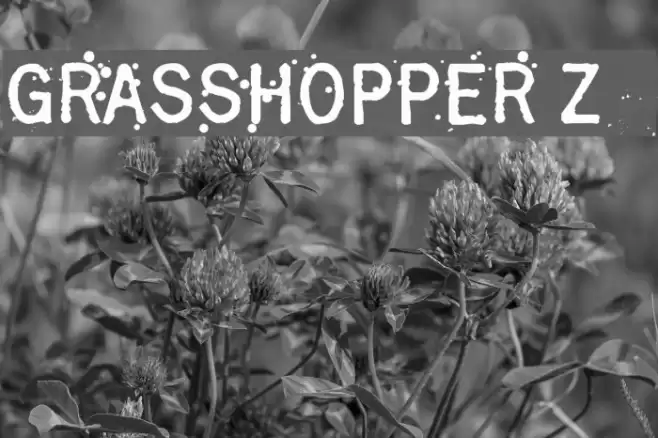 Grasshopper Z Font examples