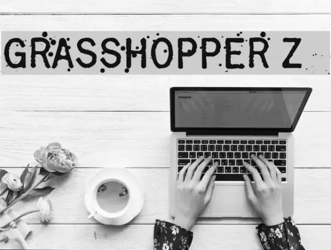 Grasshopper Z Font examples